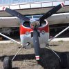 1973 Cessna 185F - Image 5