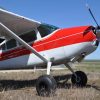1973 Cessna 185F - Image 2