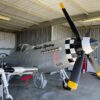 2004 PAPA, 51 LTD. Thunder Mustang - NEW PAINT JOB - Image 4