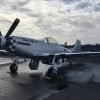 2004 PAPA 51 LTD Thunder Mustang