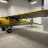 2013 Carbon Cub SS - Image 2
