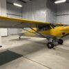 2013 Carbon Cub SS